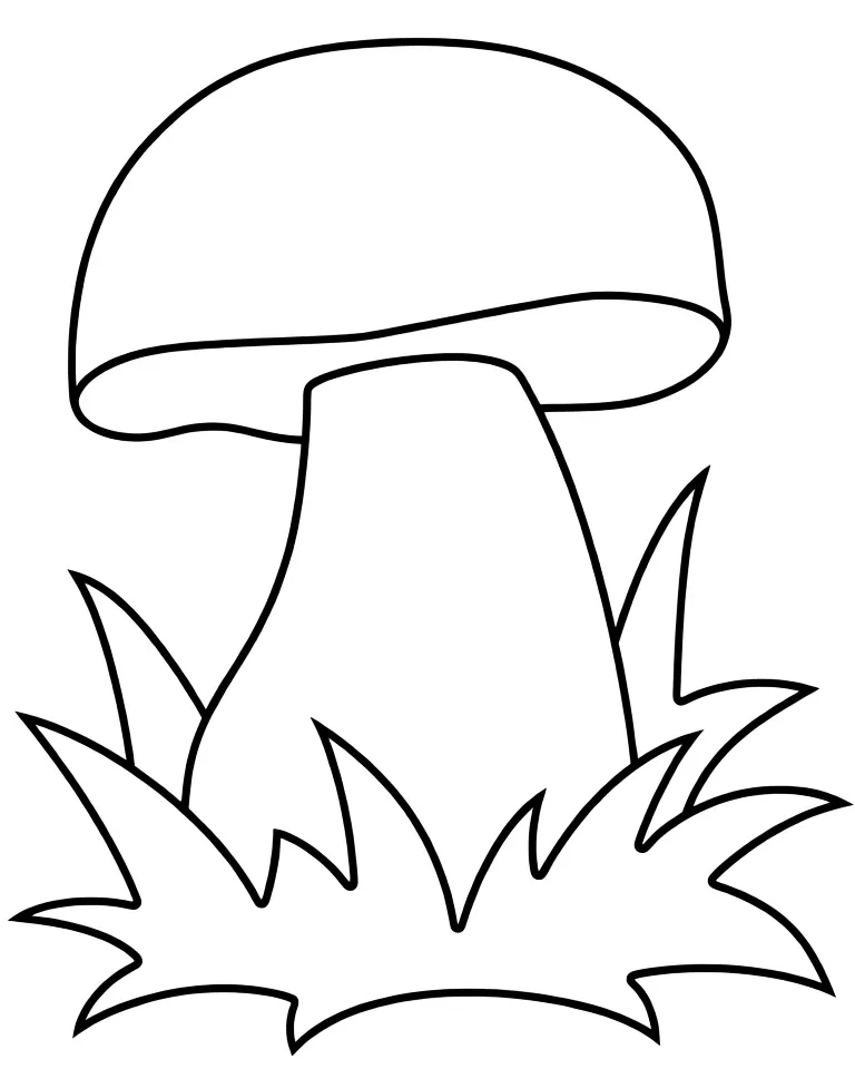 Раскраска – Белый гриб