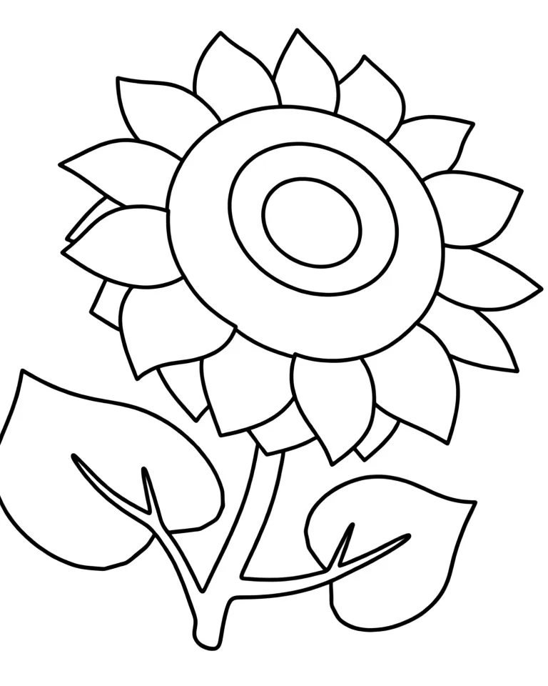 Раскраска – Большой подсолнух