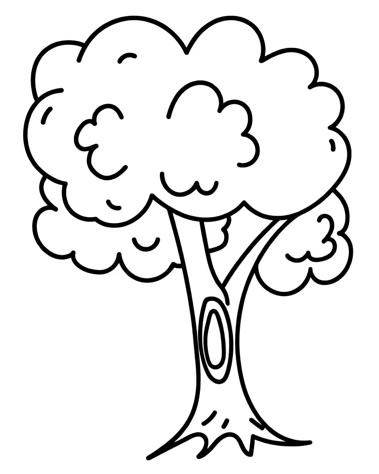 Раскраска – Дуб с дуплом