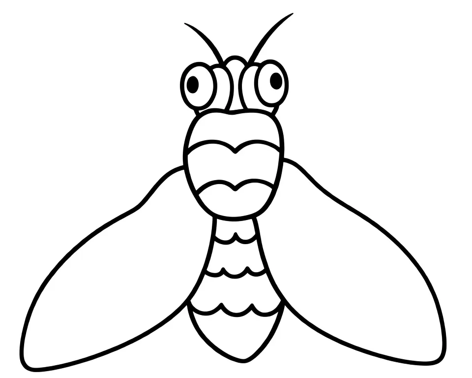 Раскраска – Глазастая муха