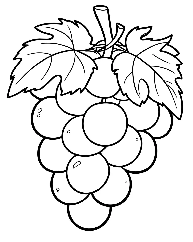 Раскраска – Гроздь винограда с листиками