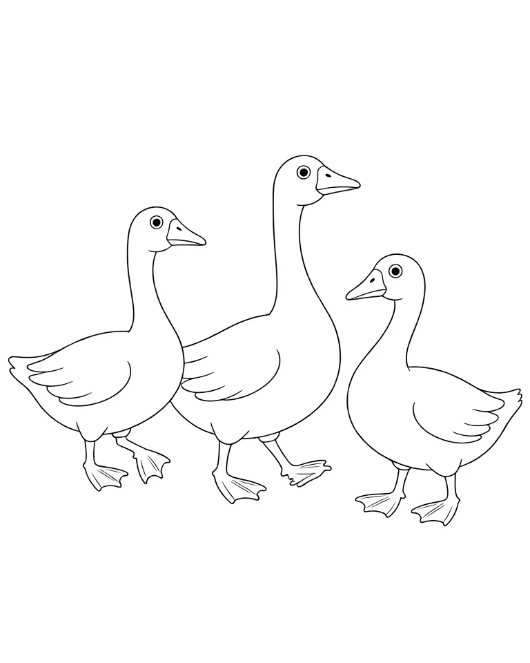 Раскраска – Гуси гуляют