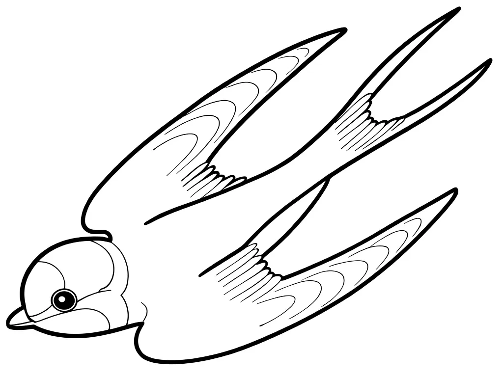 Раскраска – Красивая ласточка