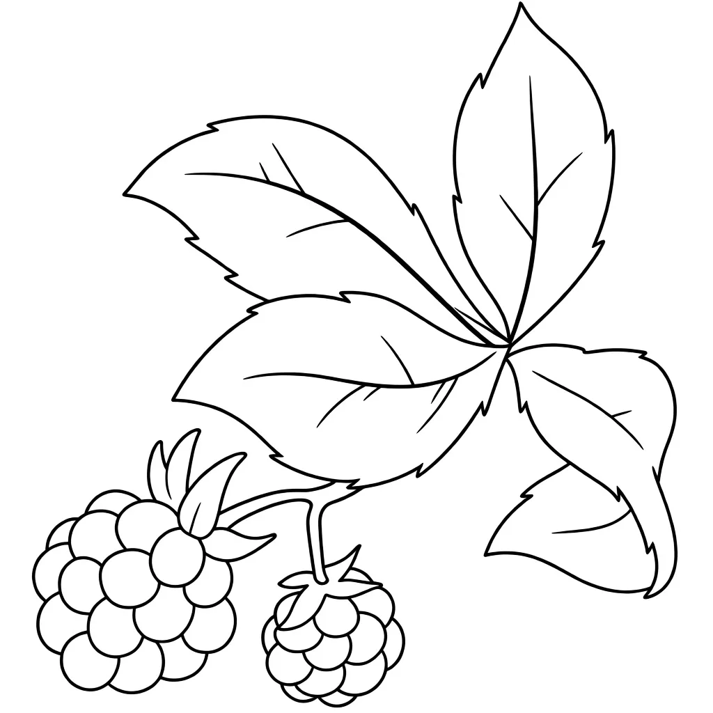Раскраска – Кустик малины