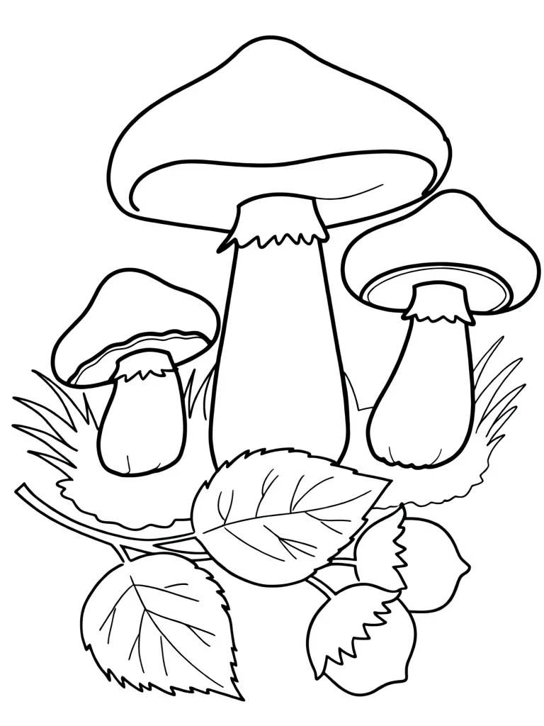 Раскраска – Маслята