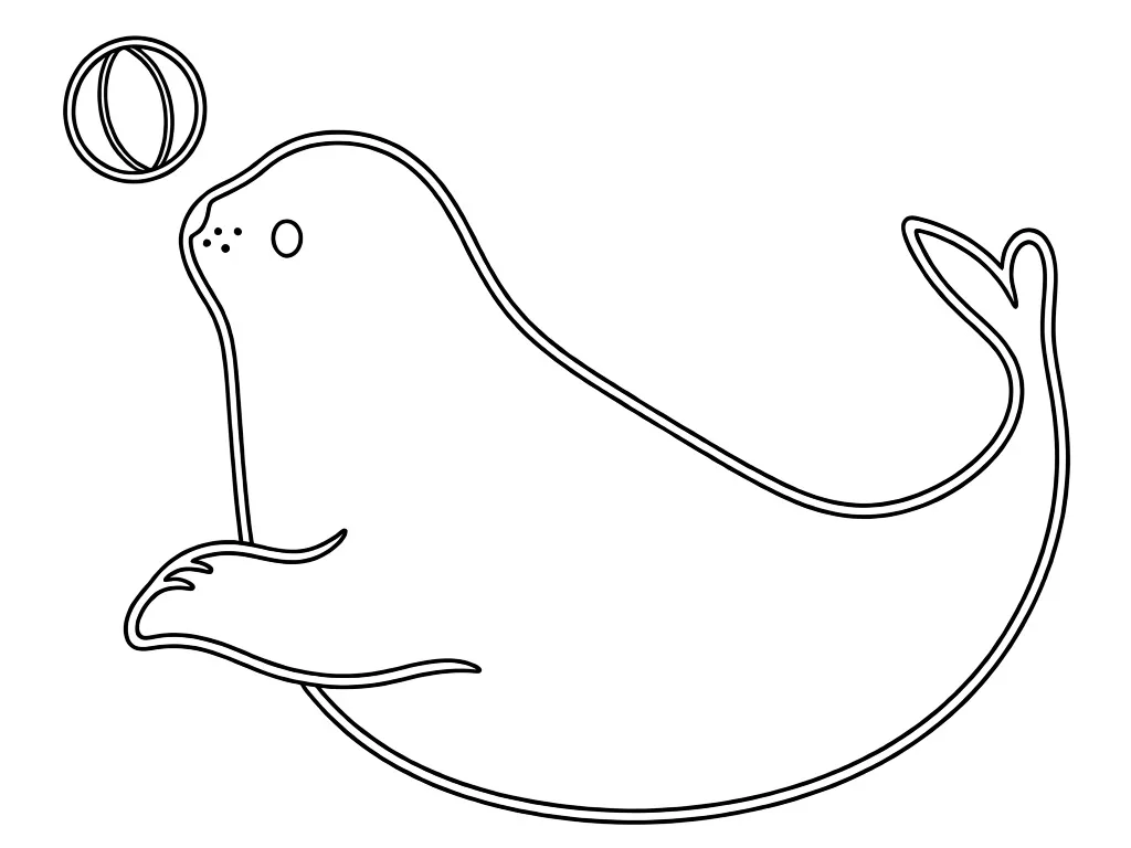 Раскраска – Морской котик играет с мячом