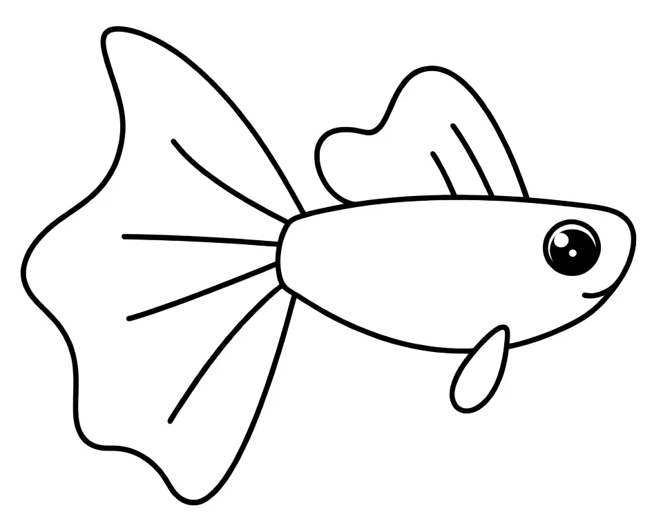 Раскраска – Рыбка-петушок