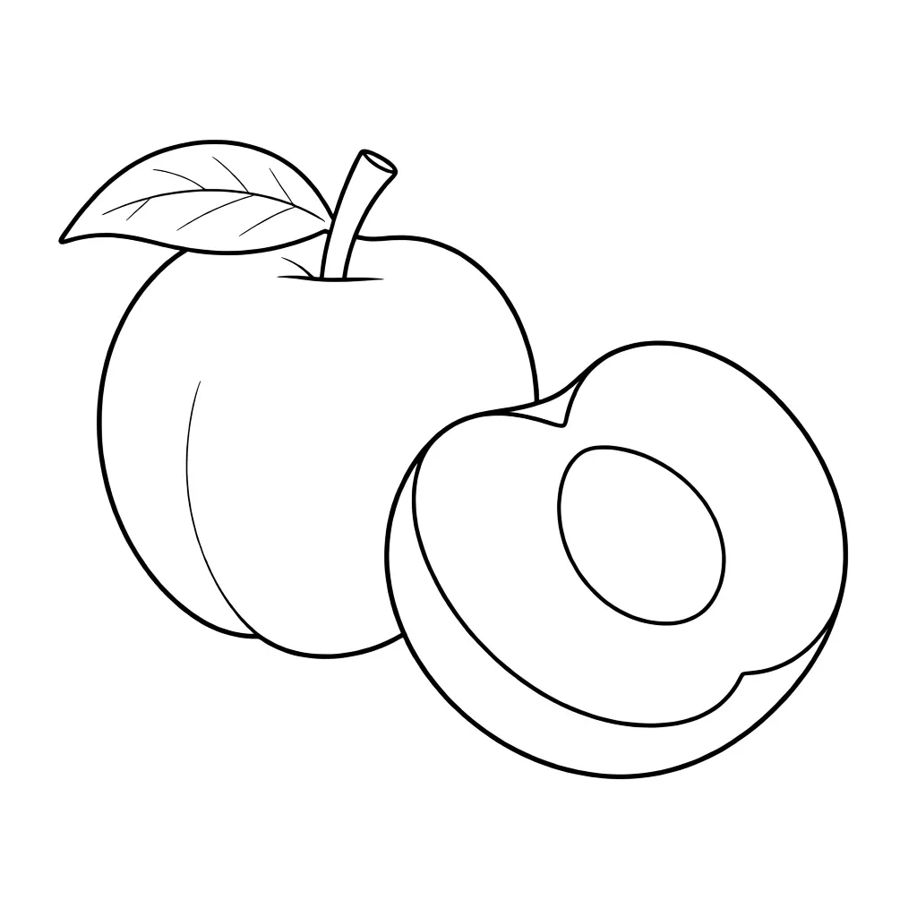 Раскраска – Слива с листочком