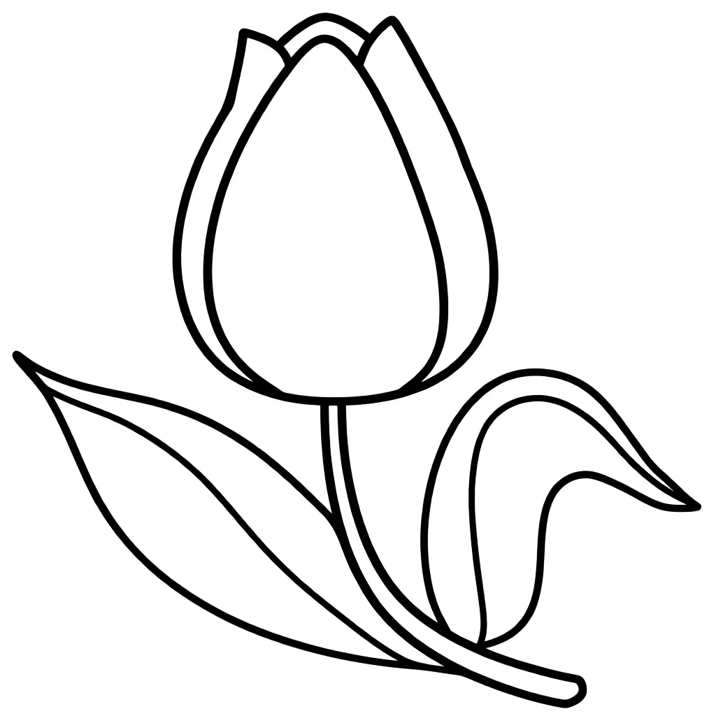Раскраска – Тюльпан