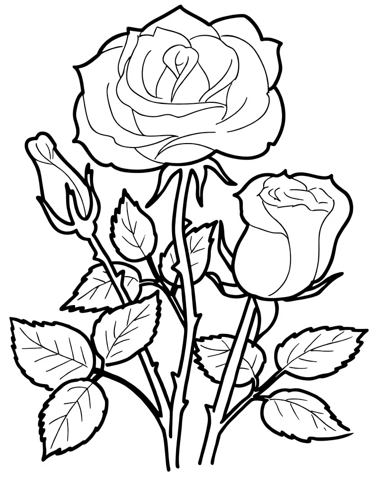 Раскраска – Веточка розы