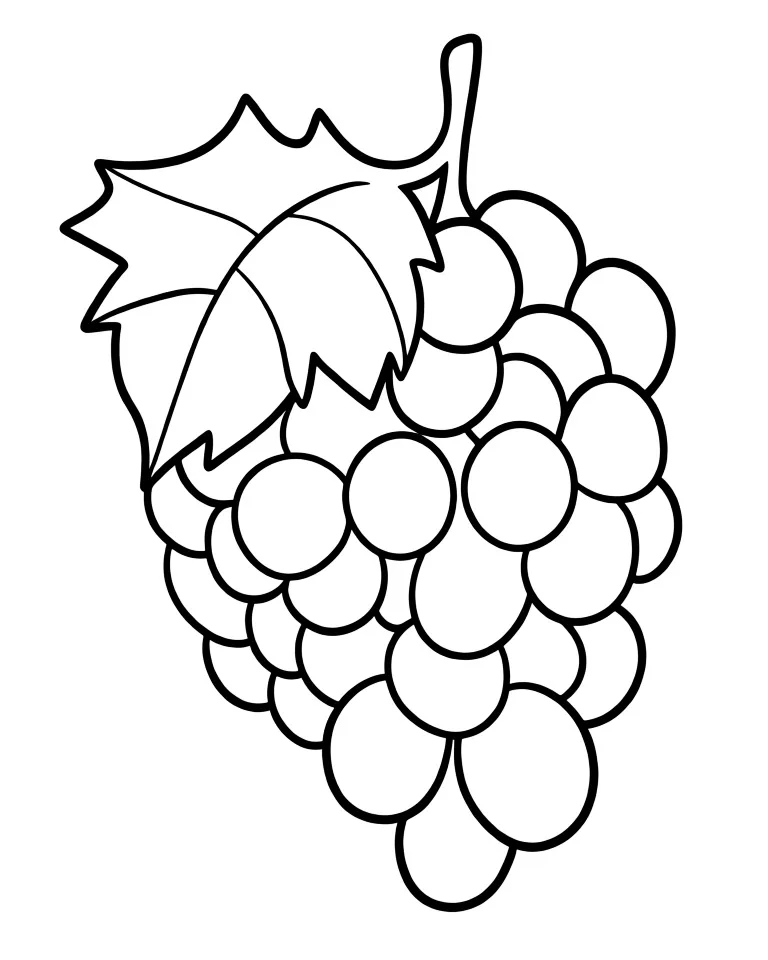 Раскраска – Виноградная гроздь